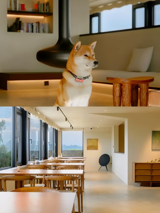 電影取景地住進新昌坑村的仙山之巅