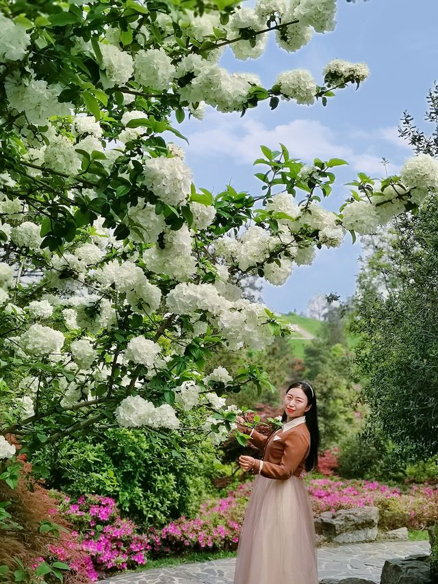 五一全家旅行好去處，孩子們的遊樂場，媽媽們的大花園