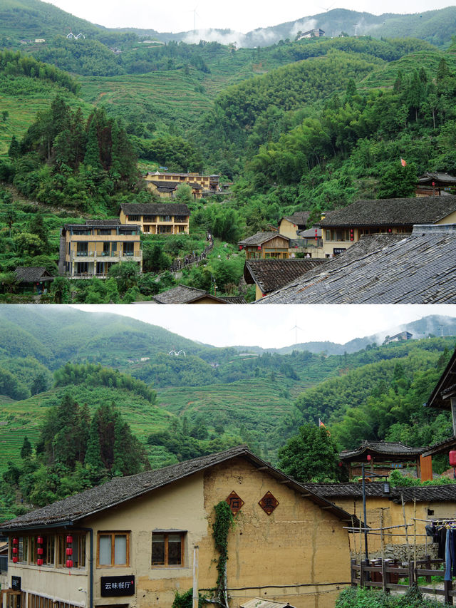 五一出遊好去處麗水雲和梯田