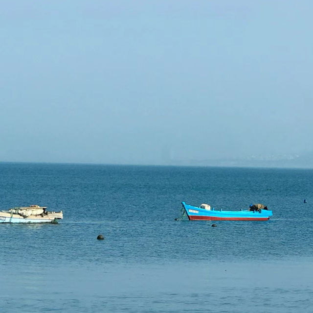 打卡大黑山島