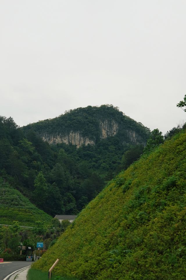貴州綠博園