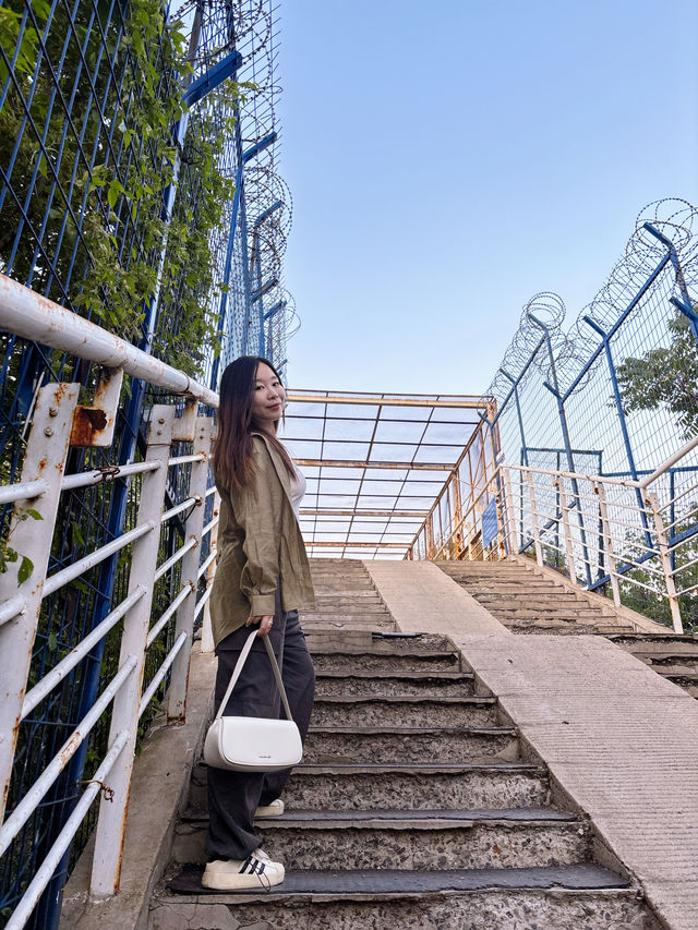 盤點15條半日沈陽city walk路線（兒童節特別篇）