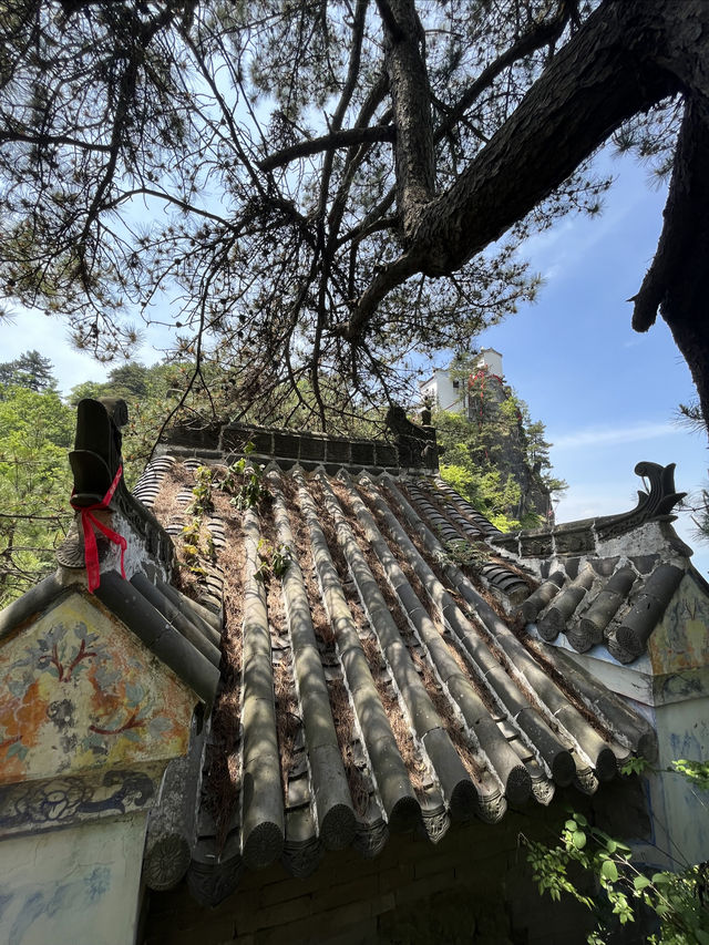 西安周邊遊∣尋夢大秦嶺•問道塔雲山