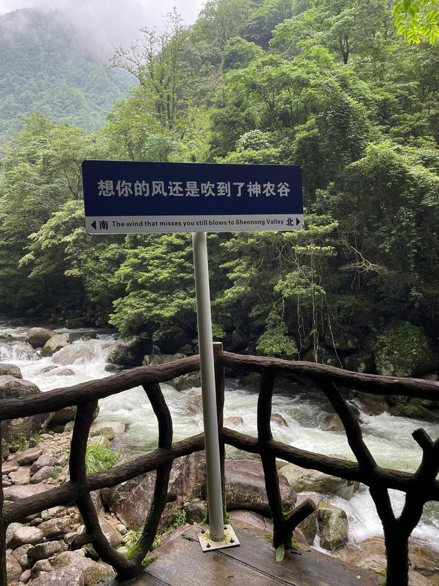 株洲炎帝陵+神農谷兩日遊