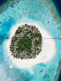 🌴 Maldives Bliss: Banyan Tree Vabbinfaru's Top Picks 🏝️
