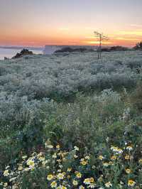 Summer in Southern Portugal: Lagos Adventure