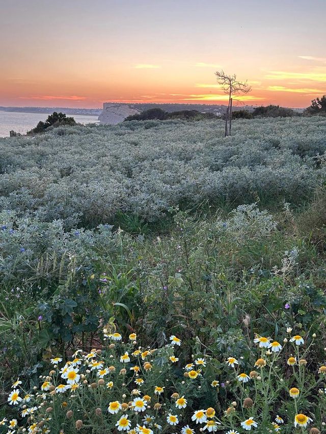 Summer in Southern Portugal: Lagos Adventure