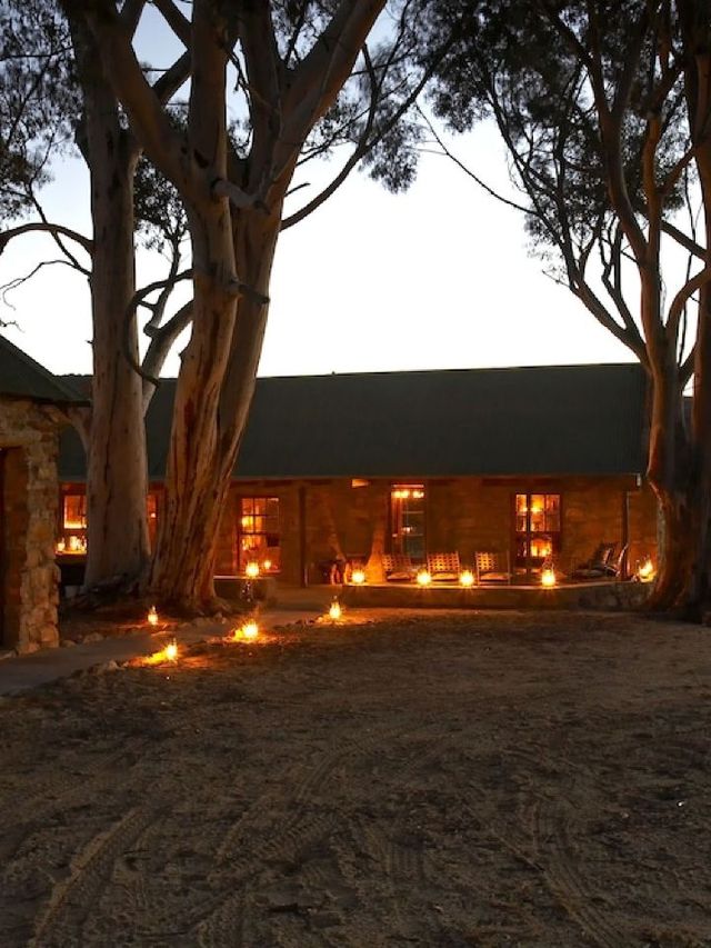 🌟 Luxe Wilderness Escape: Bushmans Kloof 🌄✨