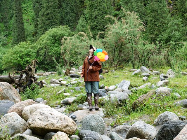 恰西森林公園:秘境中的綠色寶藏。 恰西森林公園:秘境中的綠色寶藏。