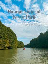 Canoeing Around Shanghai Haiwan National Forest Park 🛶