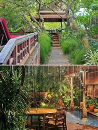 來曼谷當然要住這家全球唯一的喜來登豪華精選～空中花園好出片！