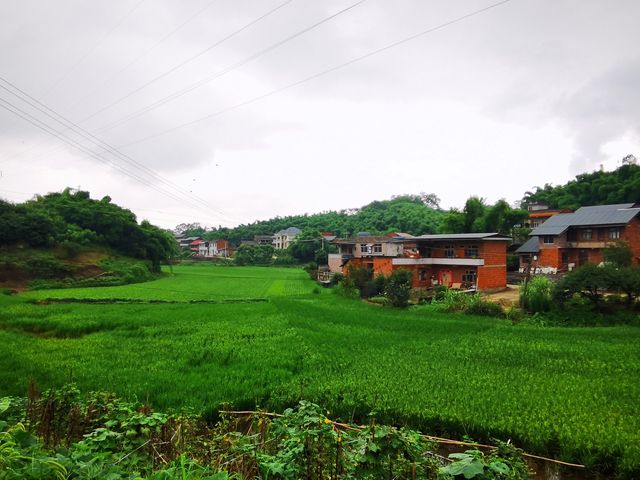 雨漫內自邊界的中溪河畔