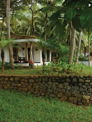 🌴✨ Kovalam's Oasis: Niraamaya Retreats Unveiled! ✨🌴