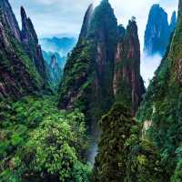 這座山不用爬就可以看美景啊