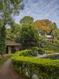 🌿🛏️ Kerala's Hidden Gem: Eco-Luxury at Thekkady! 🌟