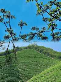 夏天就是要玩水呀人少景美露營地