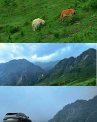 青海民和|夏天就要去浪山