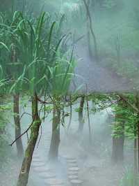 馬陵山丨避暑吸氧好地方，一起來享受大自然的美