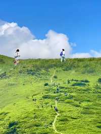 【一日穿越仙境】留坝汉中行，解锁秦岭秘境全攻略