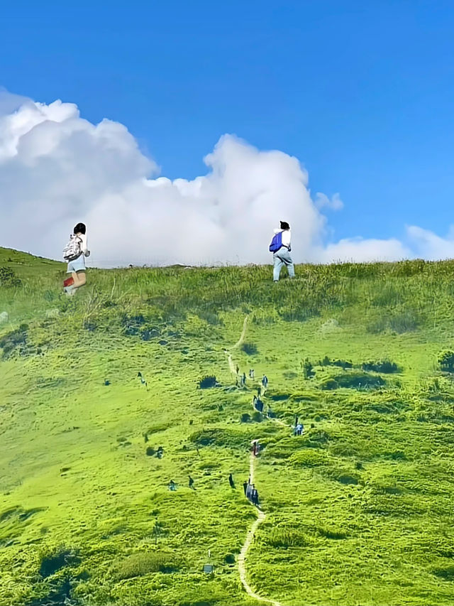 【一日穿越仙境】留坝汉中行，解锁秦岭秘境全攻略