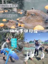 伊豆！被嚴重低估的東京周邊小城一日遊攻略🌊🏞️