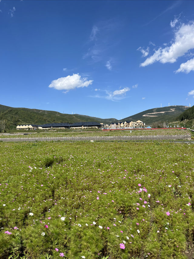 國保打卡：太子城遺址（國八）& 重光塔（國七）