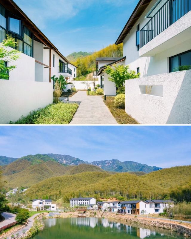 藏於竹海山谷深處的湖畔美宿