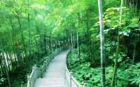 湖北咸寧九宮山丨“九宮清涼，避暑天堂”