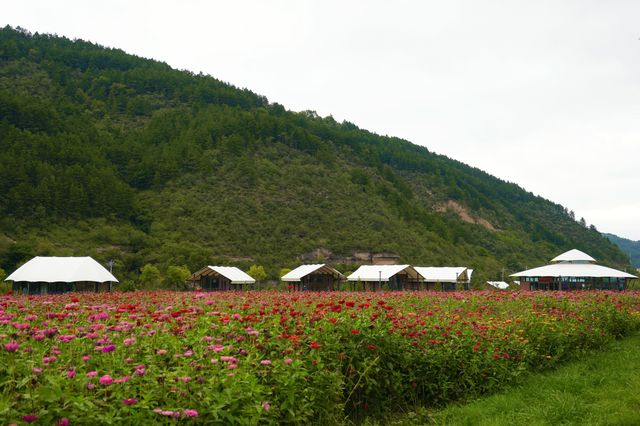 綿延起伏嘅山峰、望之無際嘅花海、清澈不絕嘅溪流、遍佈各處嘅營地民宿。呢度就係充滿浪漫詩意嘅子午花溪。