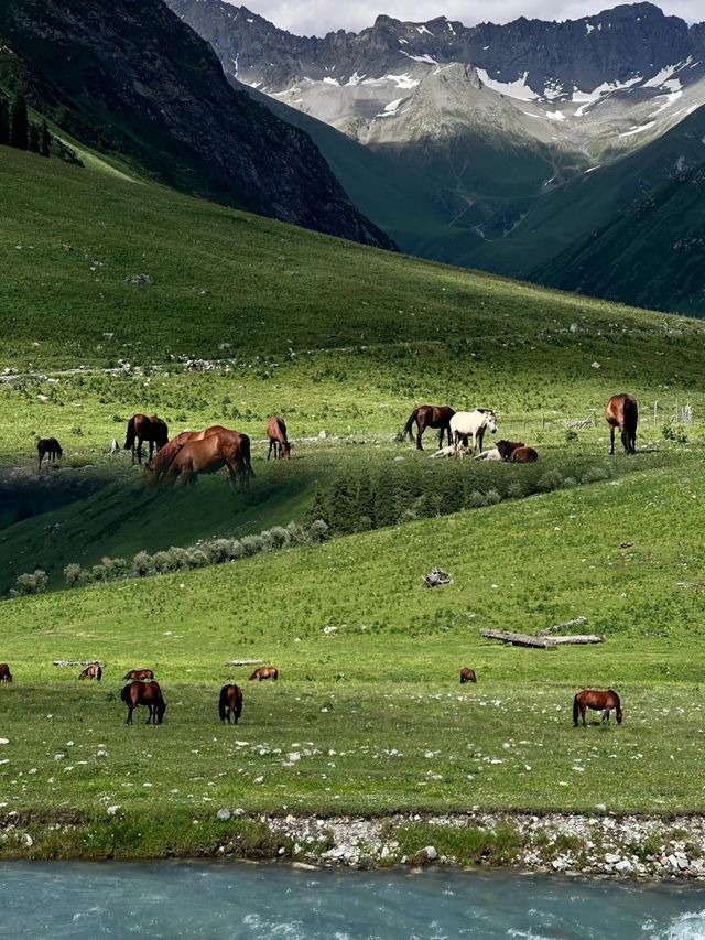 孟克特古道可算是新疆旅遊的頂級景點了吧。