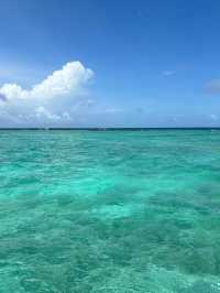 馬代芮雅島值哭了大溪地低價平替大溪地低價平替