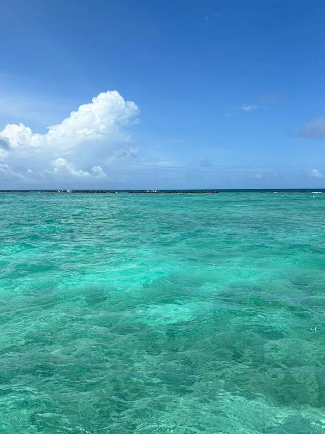 馬代芮雅島值哭了大溪地低價平替大溪地低價平替