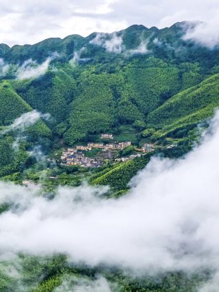 綠波蕩漾之處，解開這片神秘綠幕背後的美麗密碼｜馬安竹海。