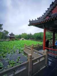 河北保定蓮花書院。