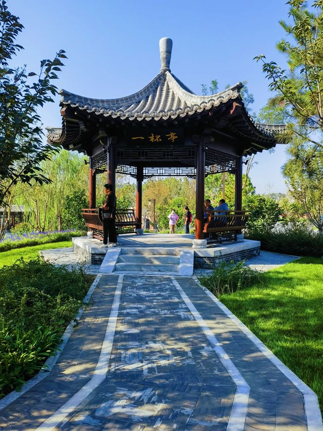 定州新開放的這兩個免費花園拍照太美了。