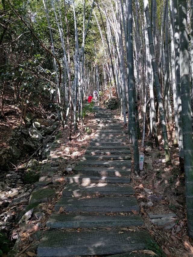 徒步榉根嶺古道丨千年古道丨國慶節避擁遊玩的好地方。