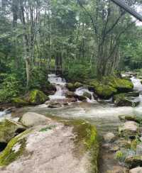 沒錯，就是喜歡鴛鴦峰，富養森林，一定要多做深呼吸！！。