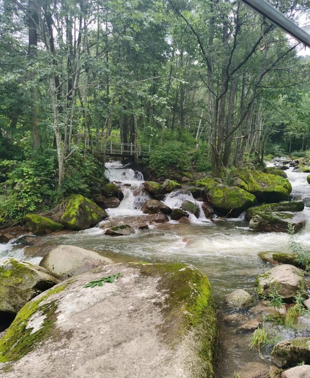 沒錯，就是喜歡鴛鴦峰，富養森林，一定要多做深呼吸！！。