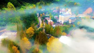 Suichang, a paradise on earth!
