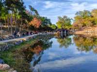 多彩京秋——圓明園獅子林。