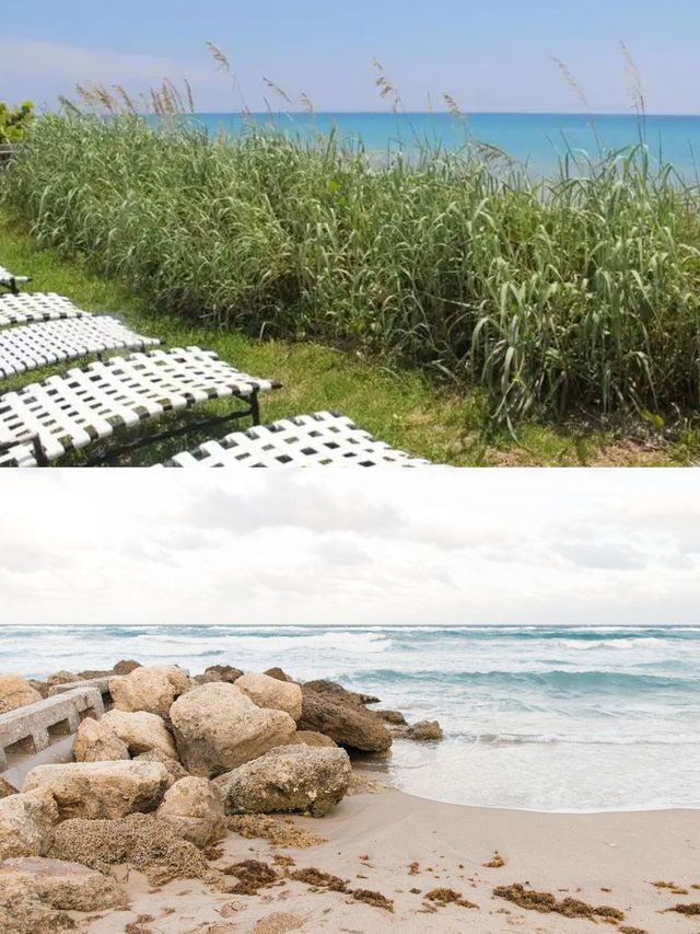 【棕櫚灘綺夢兩日遊，海風輕拂藝術與自然的旋律】。