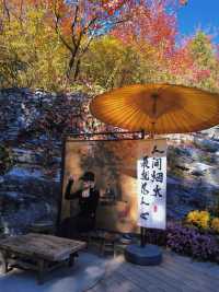 反正我是瘋了！坡峰嶺紅葉如灼！。
