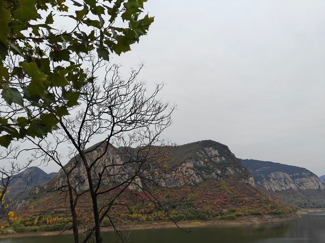 青塔湖濕地公園。