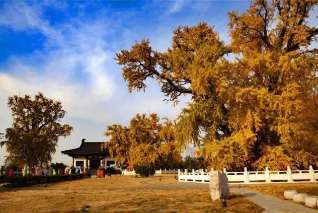 秋天，學生黨踏青泡溫泉的好去處！