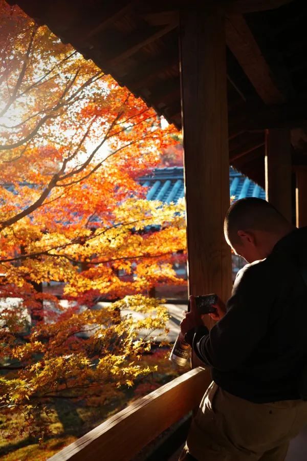Kyoto To-ji Temple 