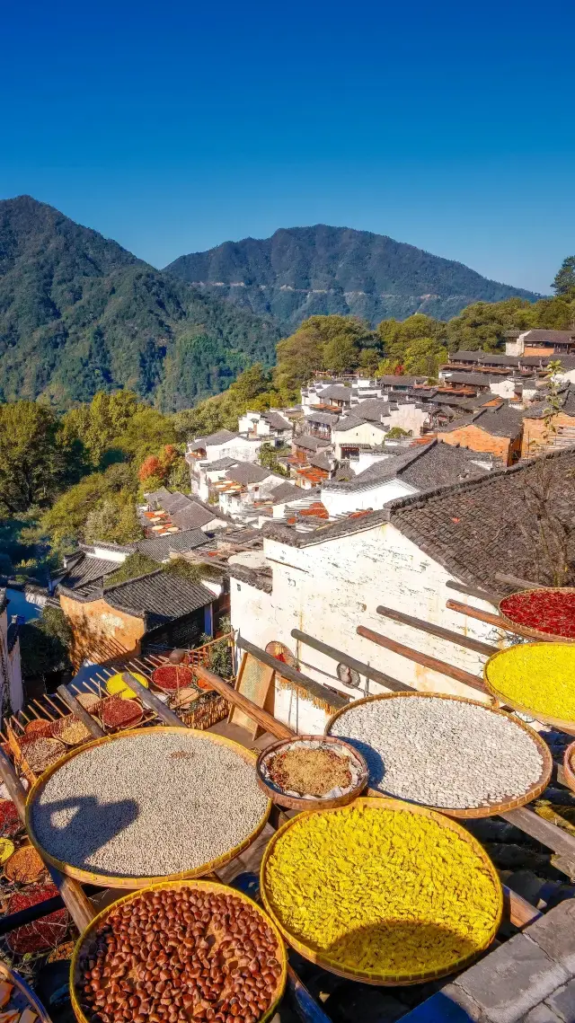 Wuyuan Huangling Autumn Sun-drying Harvest, a must-visit in autumn. 