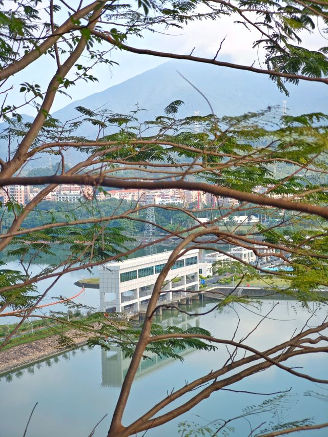 深圳淘金山綠道遊玩攻略，見山見水見風景。