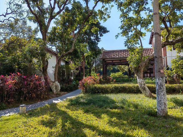 莆田綬溪公園 | 城市綠洲的詩意漫遊 。