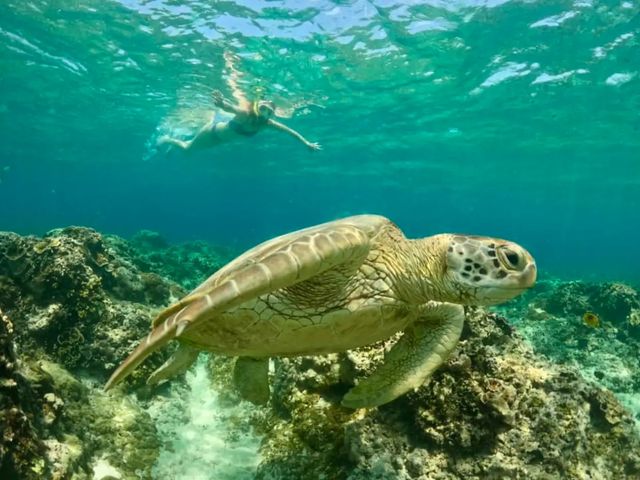 【吉爾巴島探秘記】地中海的隱秘寶石，你的下一個旅行目的地。