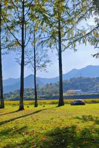 一日遊|杭州自駕1小時安吉免費省錢周末遊攻略。